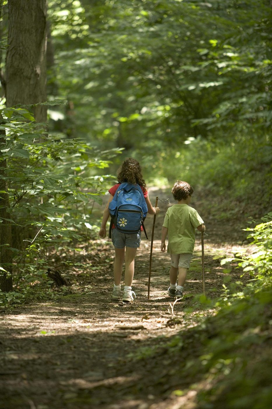 Two children hiking a forest trail