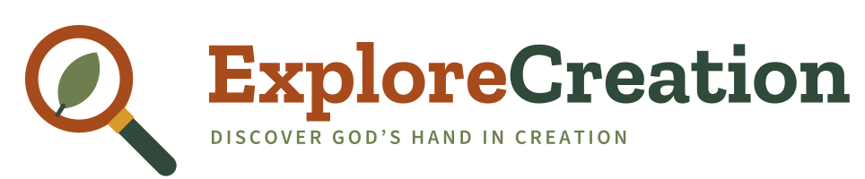 Explore Creation: Discover God’s hand in creation